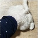 미니퍼피 이미지