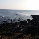 매일더탐나 이미지