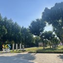 클리오 - 안산시 단원구 고잔2길 59 | 서울숲 클리오 플래그십 스토어 후기
