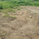 당목리목장 이미지