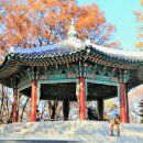 남산철탑 이미지