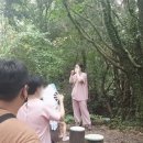 곽지튜브 이미지