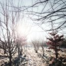 브레인수학학원 이미지