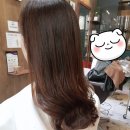 김미경헤어 이미지