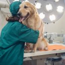 산청동물병원 이미지