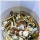 태안힐링캠프 이미지