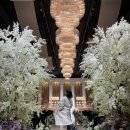 북대전컨벤션뷔페 | [웨딩홀]대전 루이비스컨벤션/ 어두운 홀/ 뷔페 후기