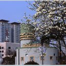 울산문화예술회관 이미지