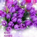 애틋한 사랑 이야기(감동실화) 2080 치약을 개발한 조서환, 봄의 선물 (박숙자), 풀꽃(나태주) 이미지