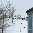 혈동목장 | 강원도 태백 1박2일 여행 🏔️ 아이랑 갈만한 곳 추천