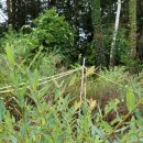 국보농장 이미지