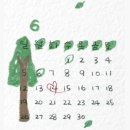 12달 中 제일 좋아하는 달 6월🌲🍀