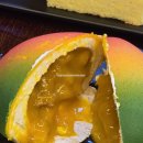 휴식공간 | 애니골 카페 대형 휴식 공간 일산 타이루 카스테라 망고 케이크 후기