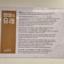 부산시청밥집 금빛코다리 양정점 시래기 코다리찜 솔직 후기 주차