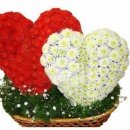 가정1-02-031 이미지