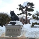 설악동 B 주차장 이미지