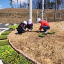 동이면행정복지센터 이미지