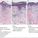 다이브의원 이미지