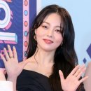 비어봐 이미지