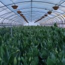 동중농장 이미지