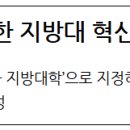 재단법인 전남바이오진흥원 친환경농생명연구센터 | 국가균형성장을 위한 지방대 혁신모델 7개 신규 선정