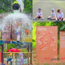 쌍봉산근린공원 이미지