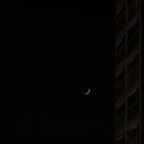 파스타입니다 평택서정점 이미지