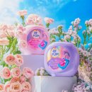 파리세탁 이미지