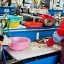 칠암거북 이미지