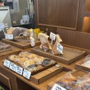 첨단도서관 (옥내1) | 첨단 데이트코스 잇샌드 르오브 에스테틱 전신바디관리 내돈내산 후기