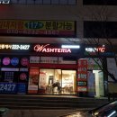 워시테리아전주 이미지
