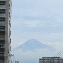 대구북중 앞 육교 밑 | 시즈오카 후지산 꿈의 대교 가는 방법, 위치, 현실 후기 꿀팁 공유 꼭 오전에 방문하세용