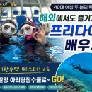 문수렌탈 | 40대 버킷리스트 도전! 해외에서도 즐기기 위해 시작한 프리다이빙 │ 울산 문수실내수영장 교육 후기
