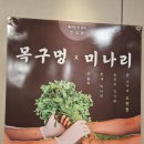 삼본농장 이미지