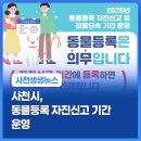 겨울나는나비 동물병원 | 사천시, 동물등록 자진신고 기간 운영