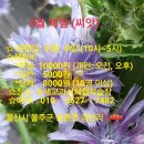 정주권로 이미지