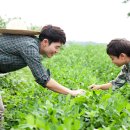 인구농장 이미지