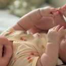 마이아 | 5개월 아기 초기 죽이유식 준비! 마이아 두유제조기 내돈내산 후기