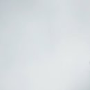 골든루트로1R 이미지