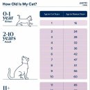 (주)인가온 이미지