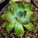 #돈마루 외~^^ 이미지