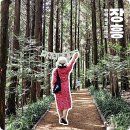 안양면 경로식당 무료급식소 | 전라남도여행 장흥 가볼만한곳 정남진장흥토요시장 편백숲 우드랜드 휴양림 억불산