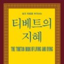 지혜네