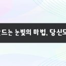 래쉬아이