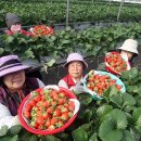 남원읍-64 이미지