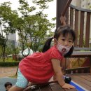 에코르아파트 앞 이미지