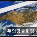 생선회 특화지역 | 부천 약대동 물회 맛집 무의랑물회랑 본점 신선함과 푸짐함이 인상적