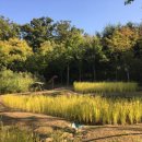 맹산생태학습원 이미지