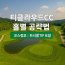 NR-3[평화로]-하-869 | 티클라우드CC 홀별 공략법 &amp; 리얼 후기