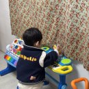 레드향 민박 이미지